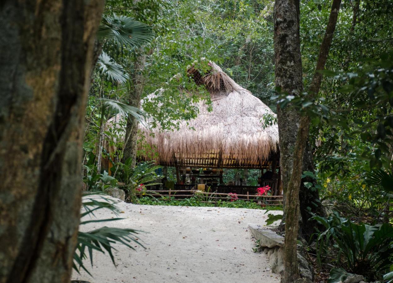 Glamping Mama Loo Mm 푸에르토 모렐로스 외부 사진