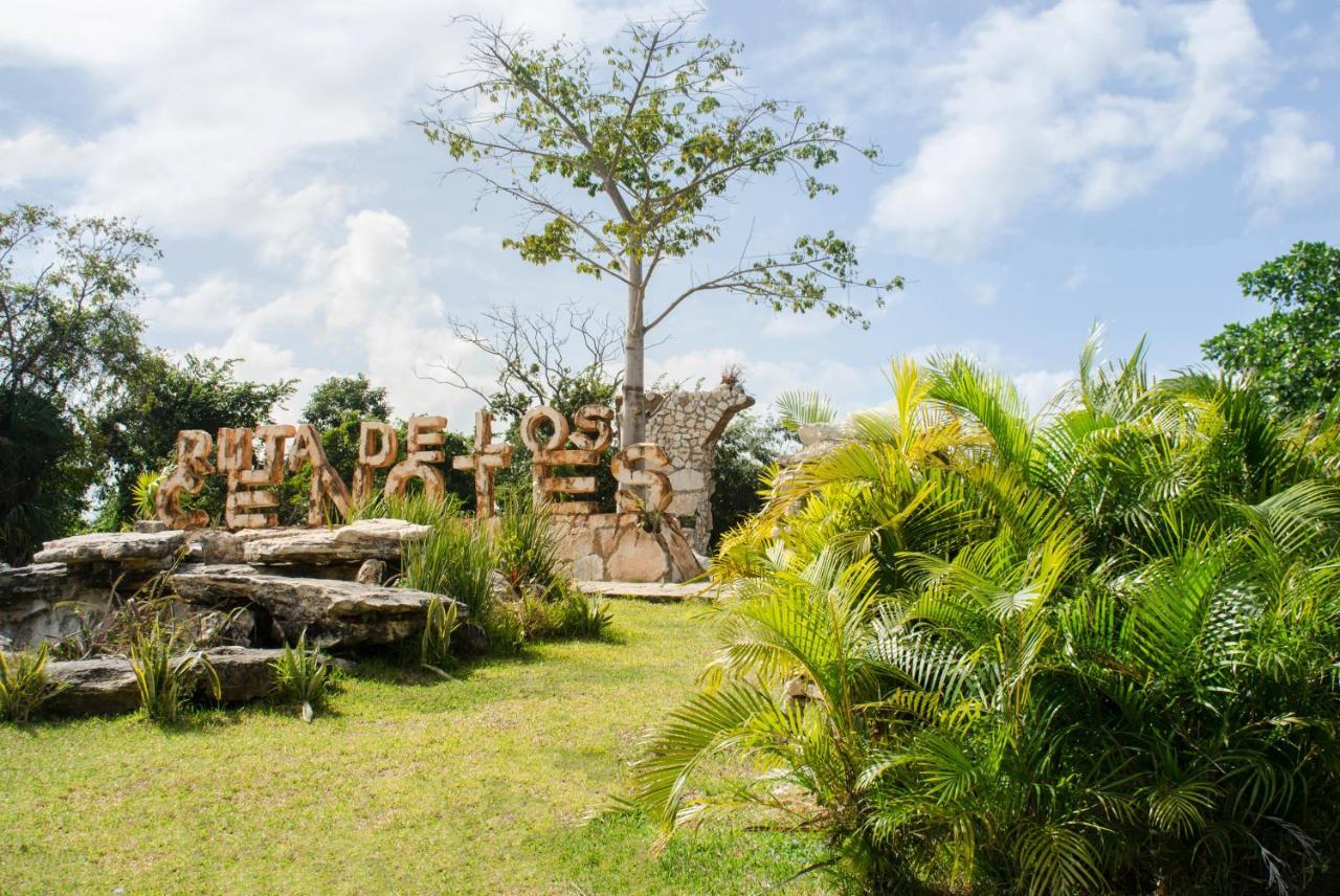 Glamping Mama Loo Mm 푸에르토 모렐로스 외부 사진